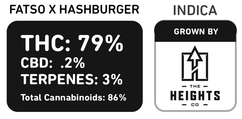 Fatso X Hashburger 3878 Height Co Indica