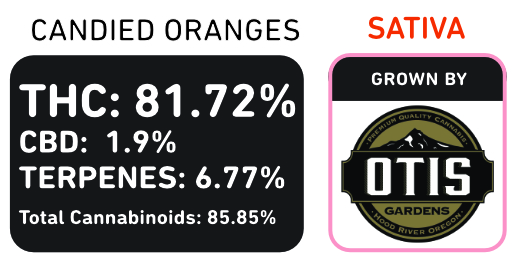 Candied Oranges 6054 Otis Sativa 2